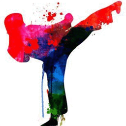 icon-splash
