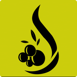 icon-splash
