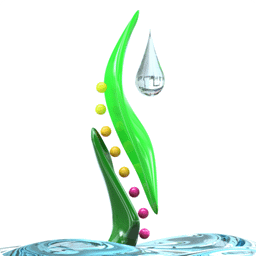 icon-splash