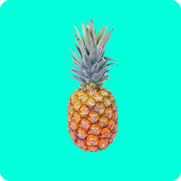 icon-splash
