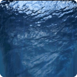 icon-splash