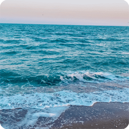 icon-splash