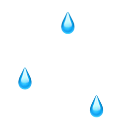 icon-splash