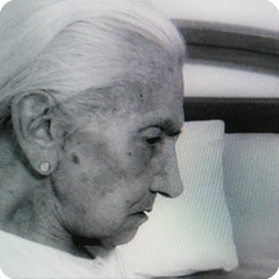 icon-splash