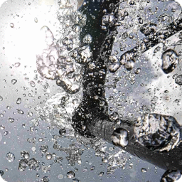 icon-splash