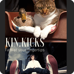 icon-splash