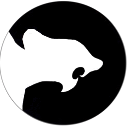 icon-splash